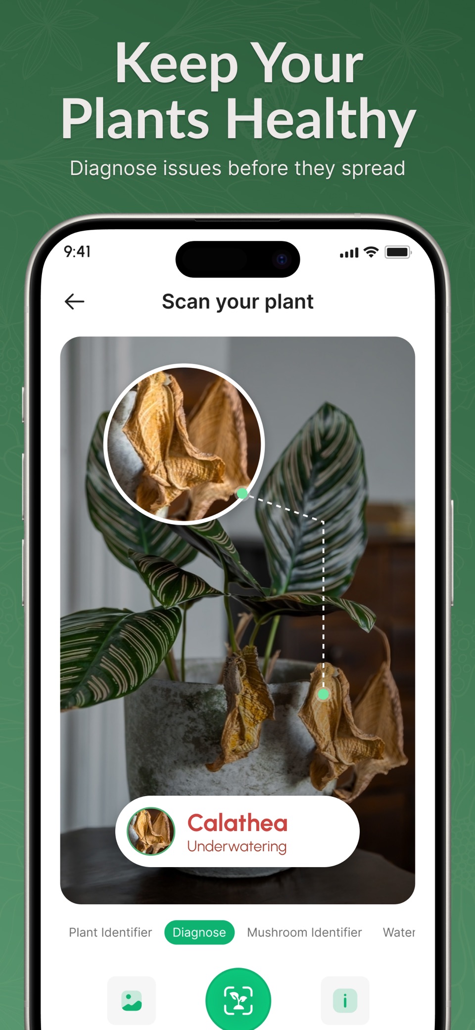 植物识别: AI扫描与养护 3