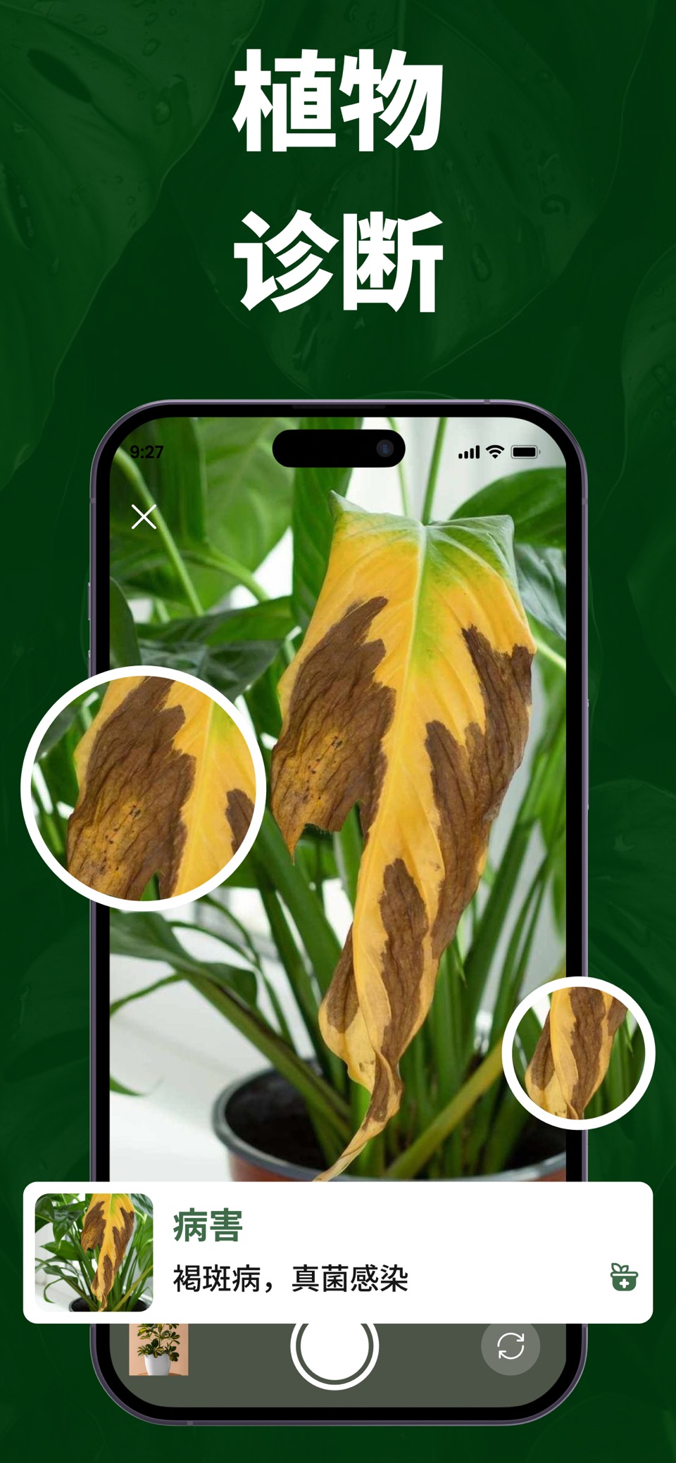 AI植物识别：花草树木图鉴 3