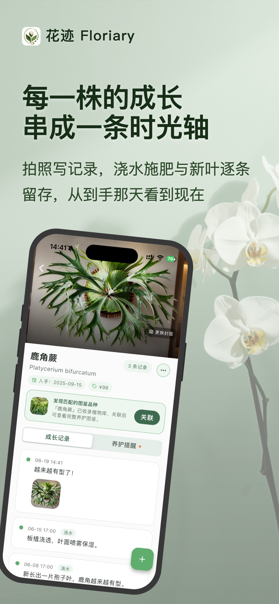 花迹 - 植物养护成长记录 2
