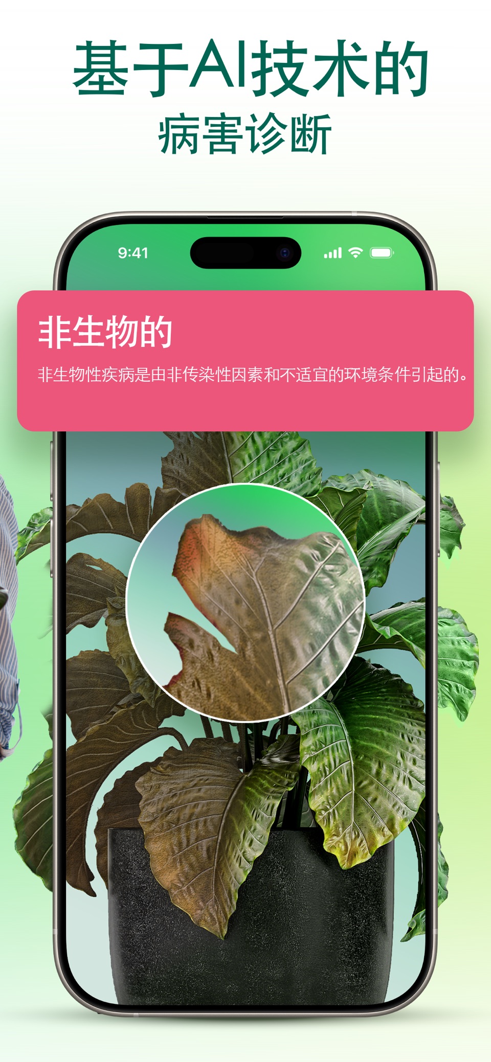 Plantum - 拍照识花识别植物 3