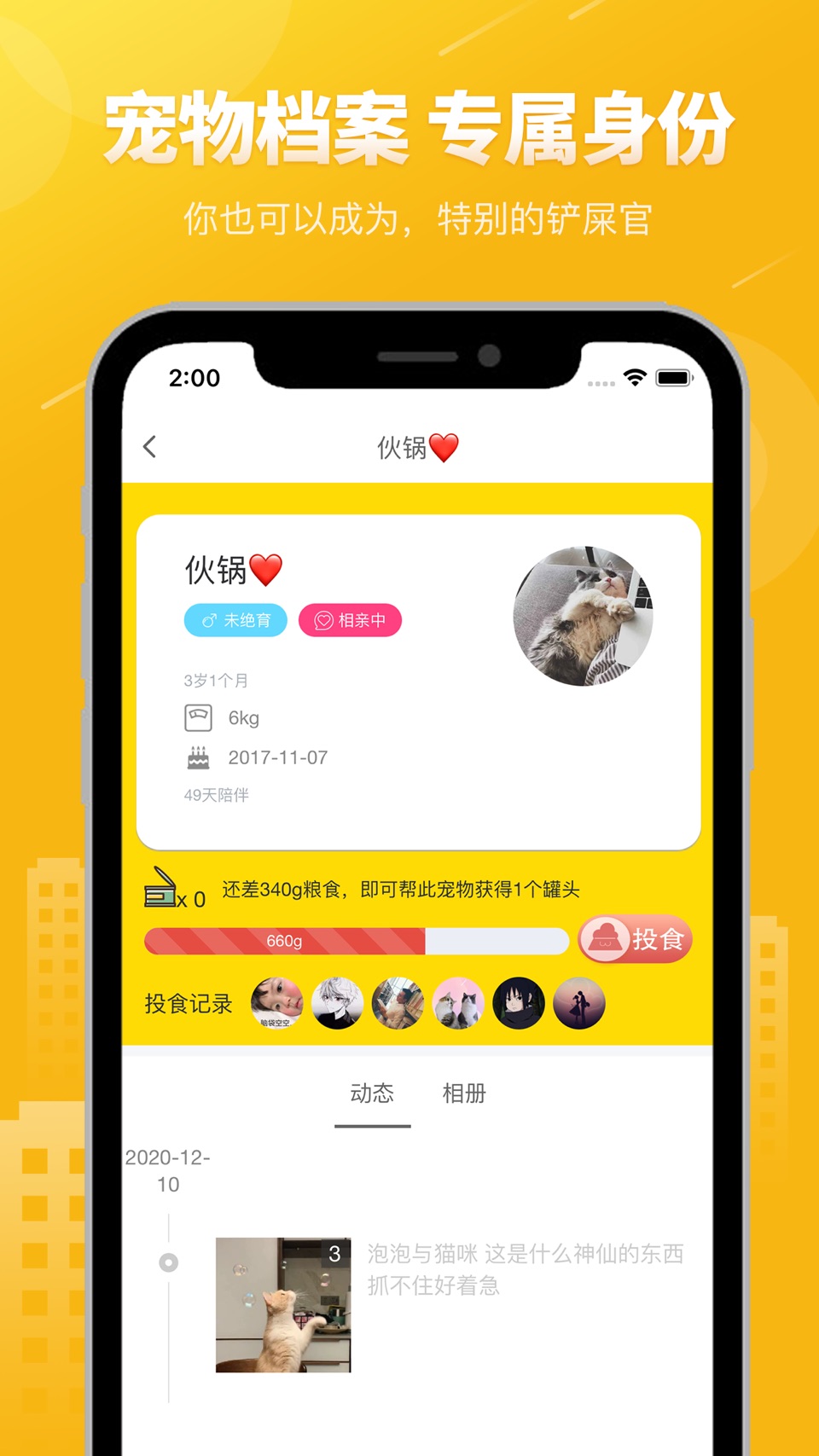 友猫-分享宠物的美好世界 3