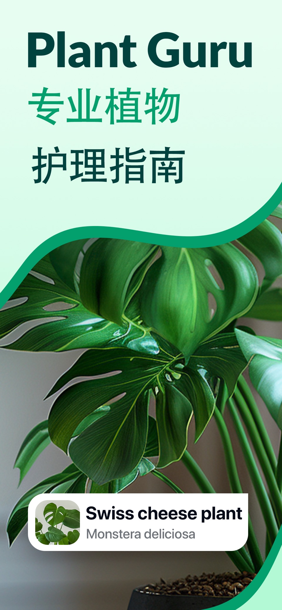 Plant Guru・植物识别，植物养护养花伴侣，拍照识花卉 · Store screenshots