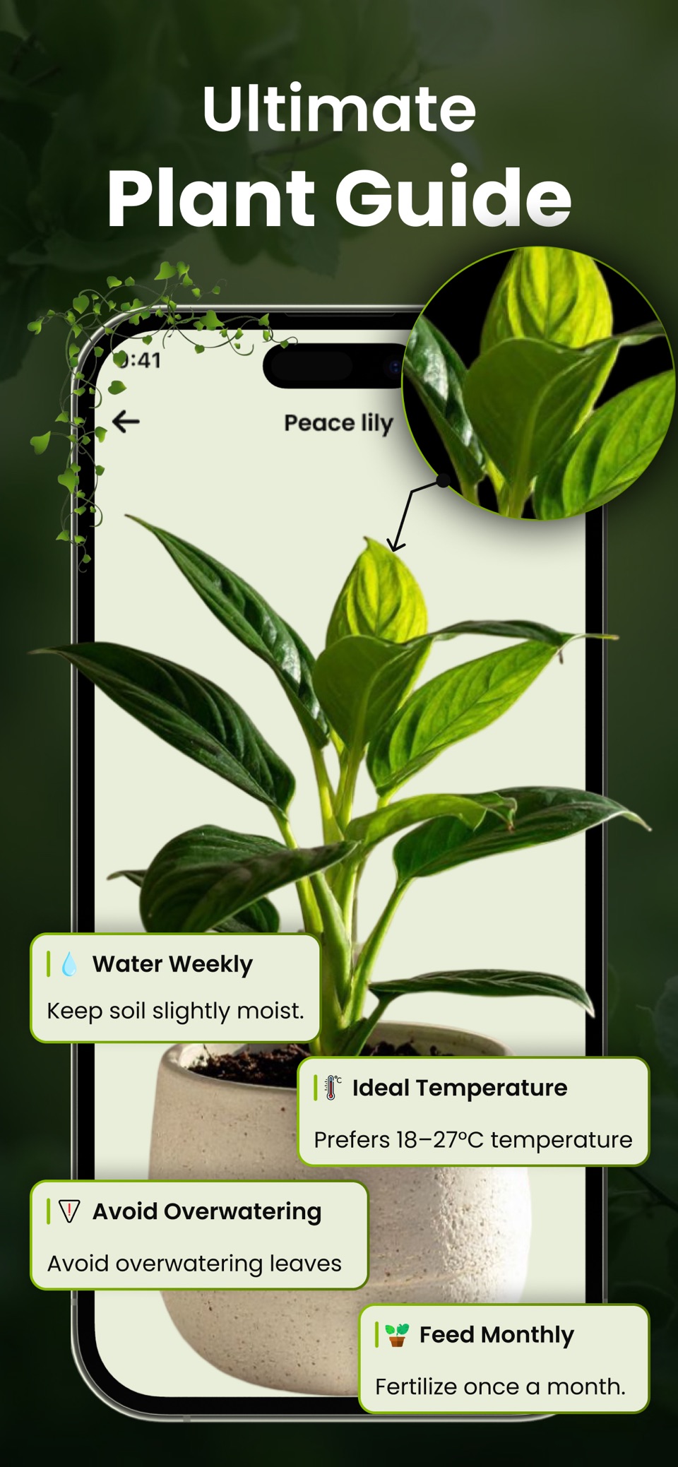 植物识别 - Leafio 2