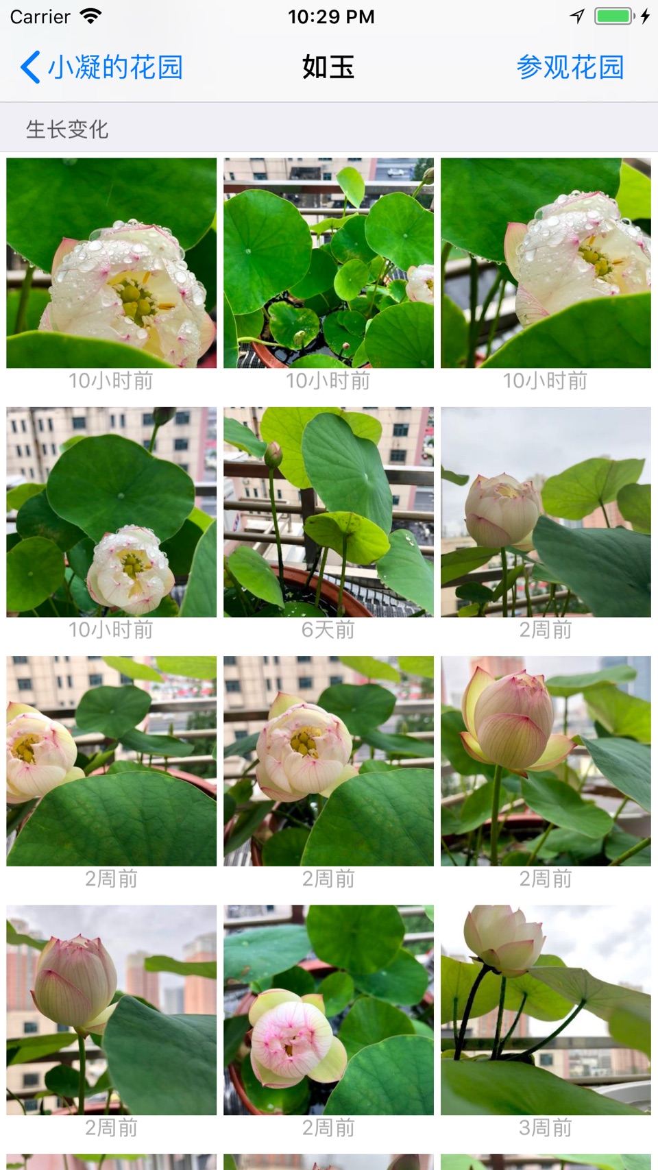 爱花草：智能植物多肉养护专家，浇水施肥提醒与生长记录 10