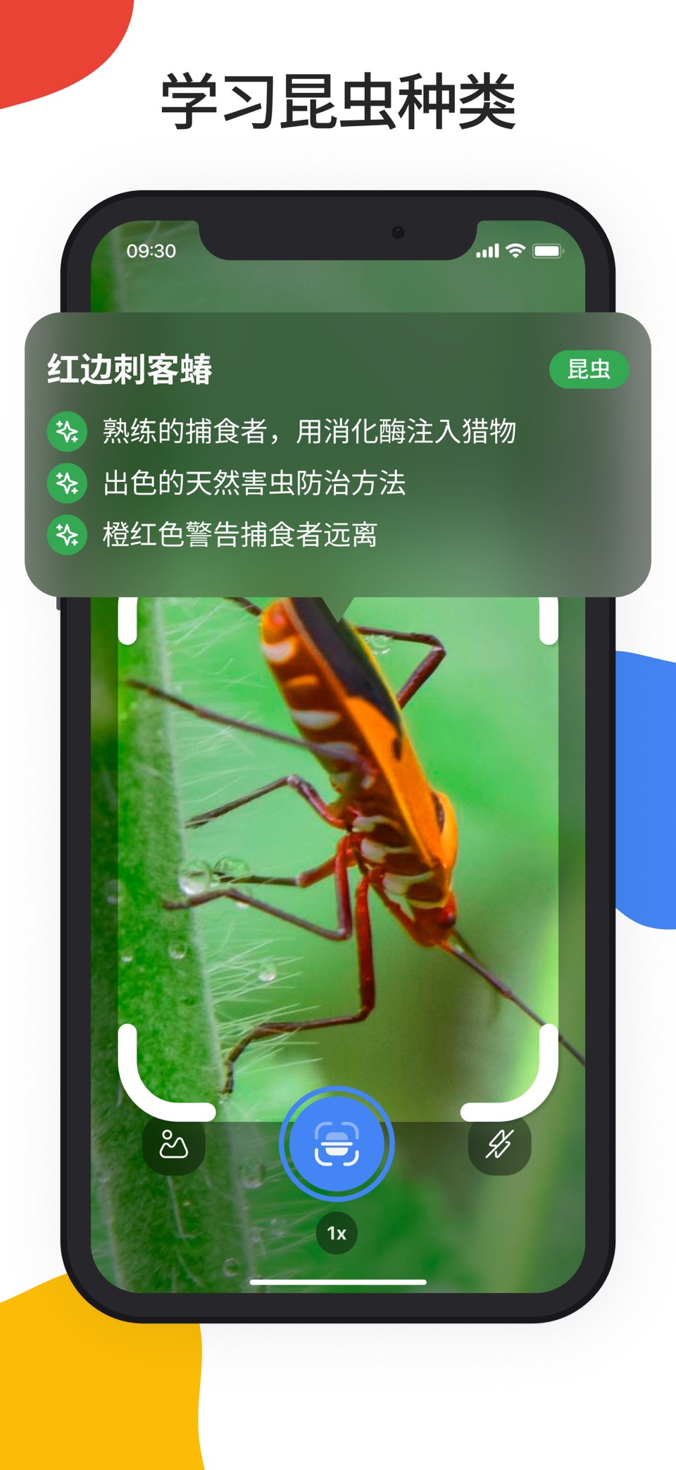 Lens Scan：拍照识别万物 3