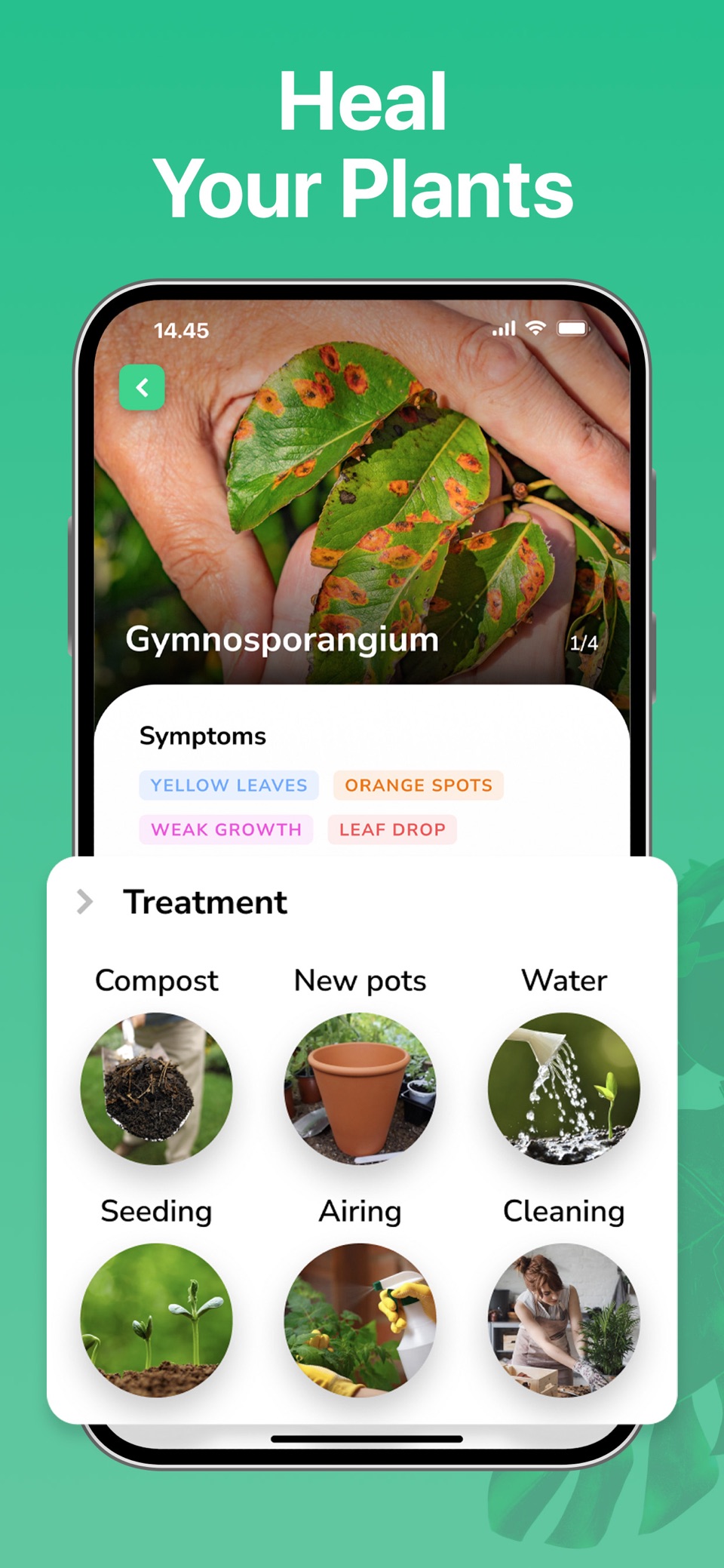 Plant Identify Picture Scanner 3
