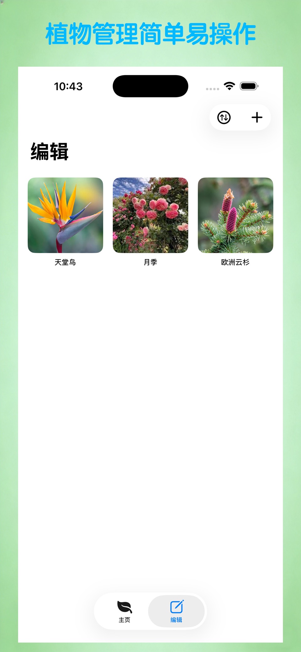 植物浇水提醒-分季节养护 3