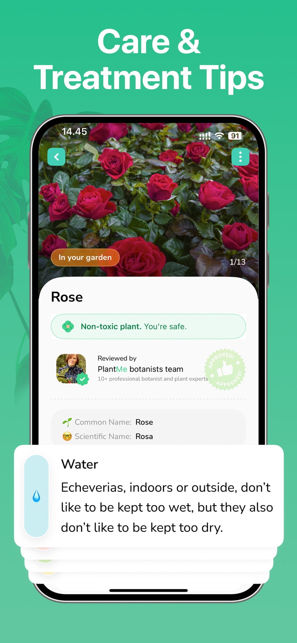 Plant Identify Picture Scanner 2