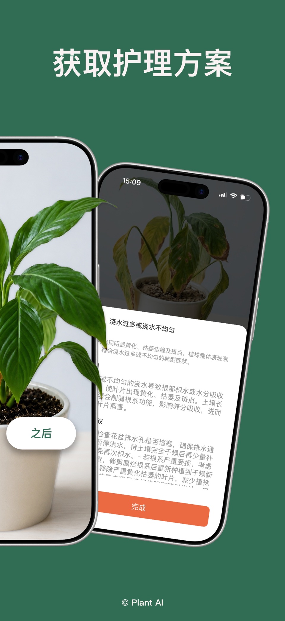 拍照识花：识别植物AI识物神器多肉绿植医生园艺百科全书 3
