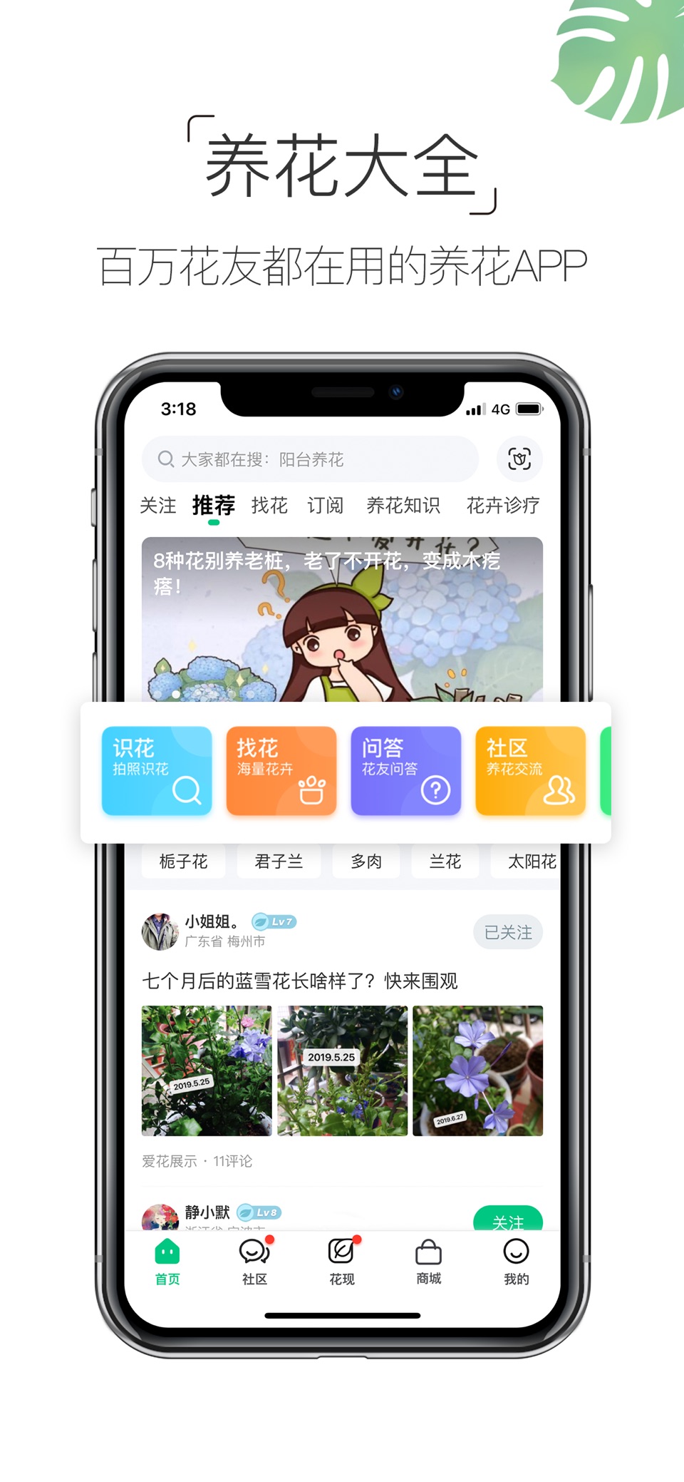 养花大全-养花人的圈子 2