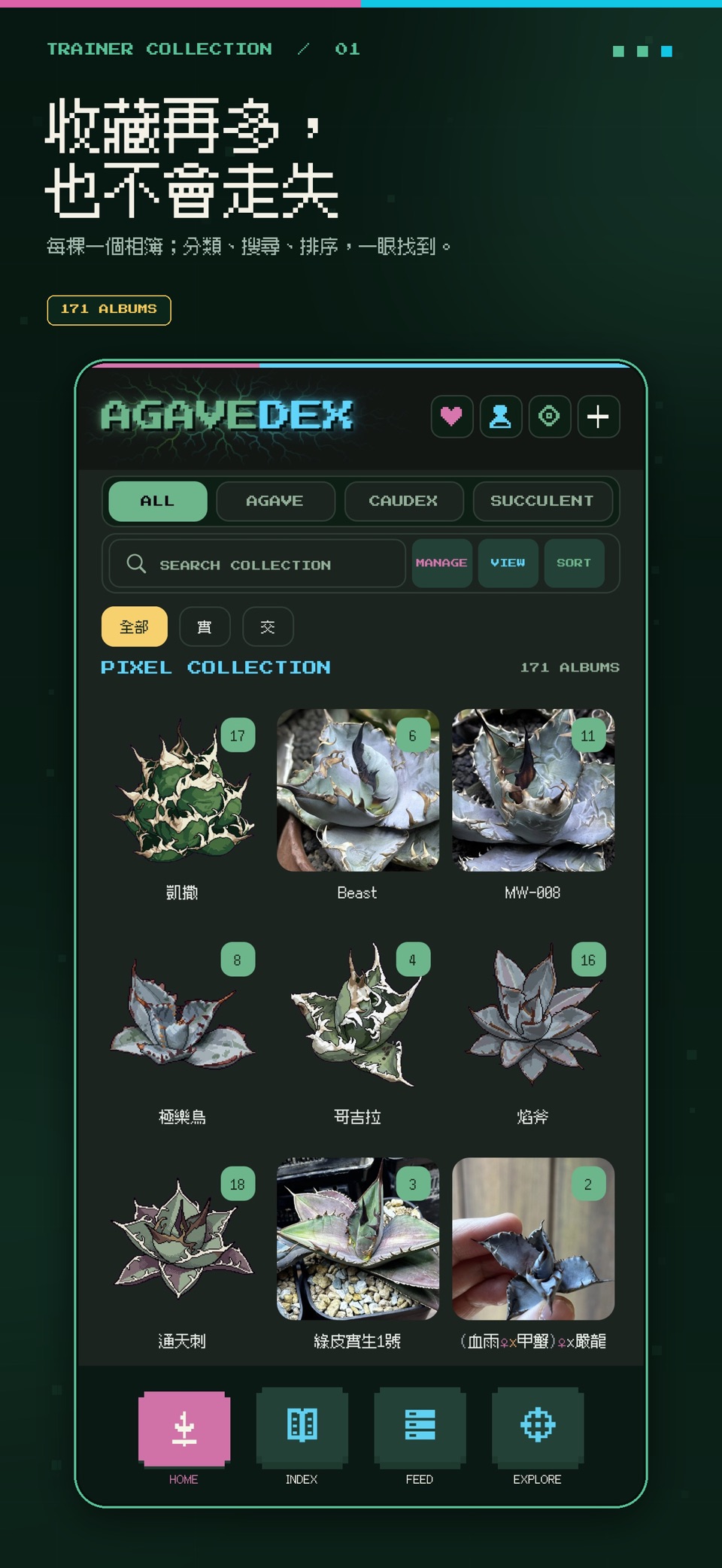 Agavedex 1