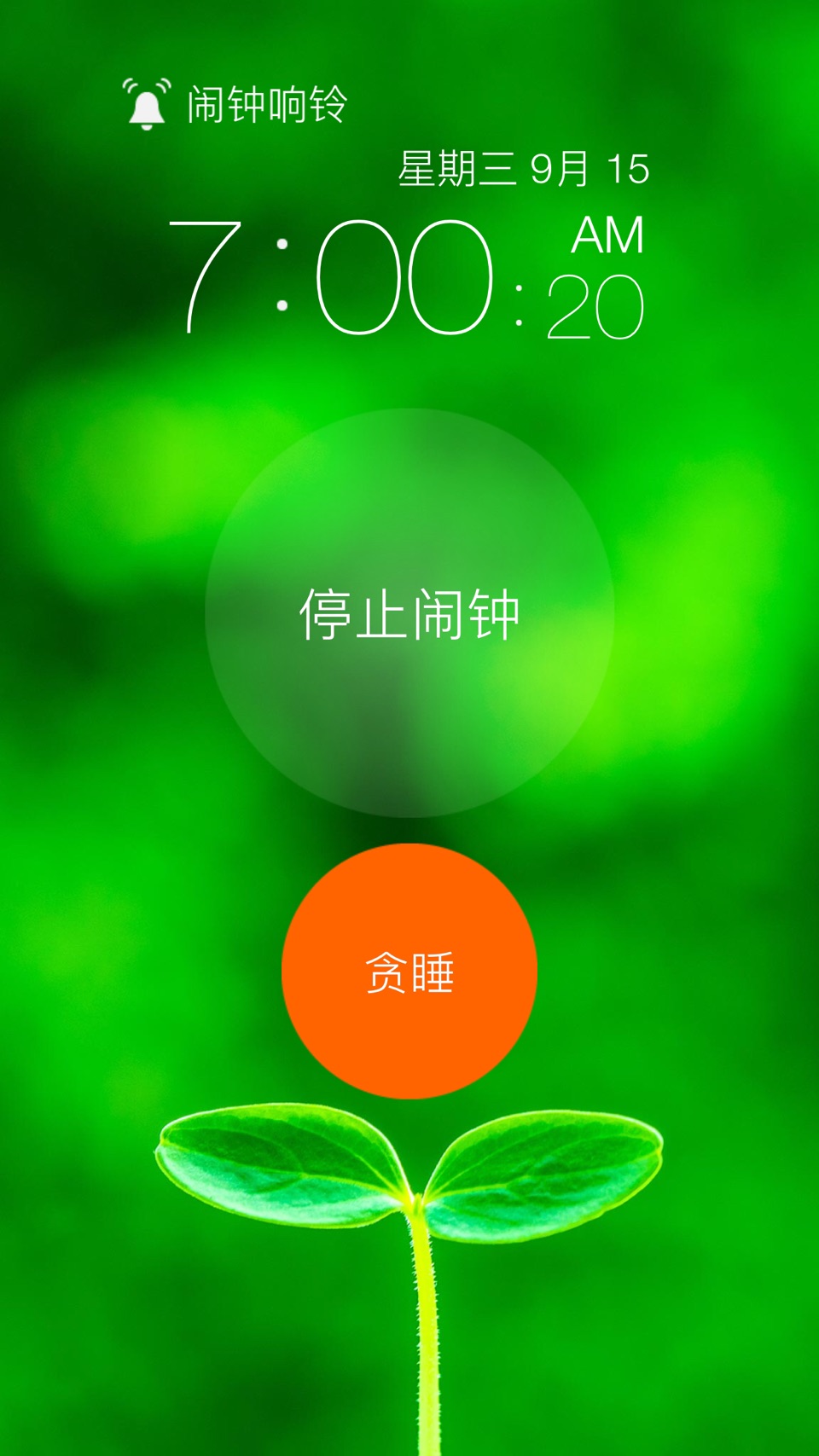 猫咪闹钟 :3 3