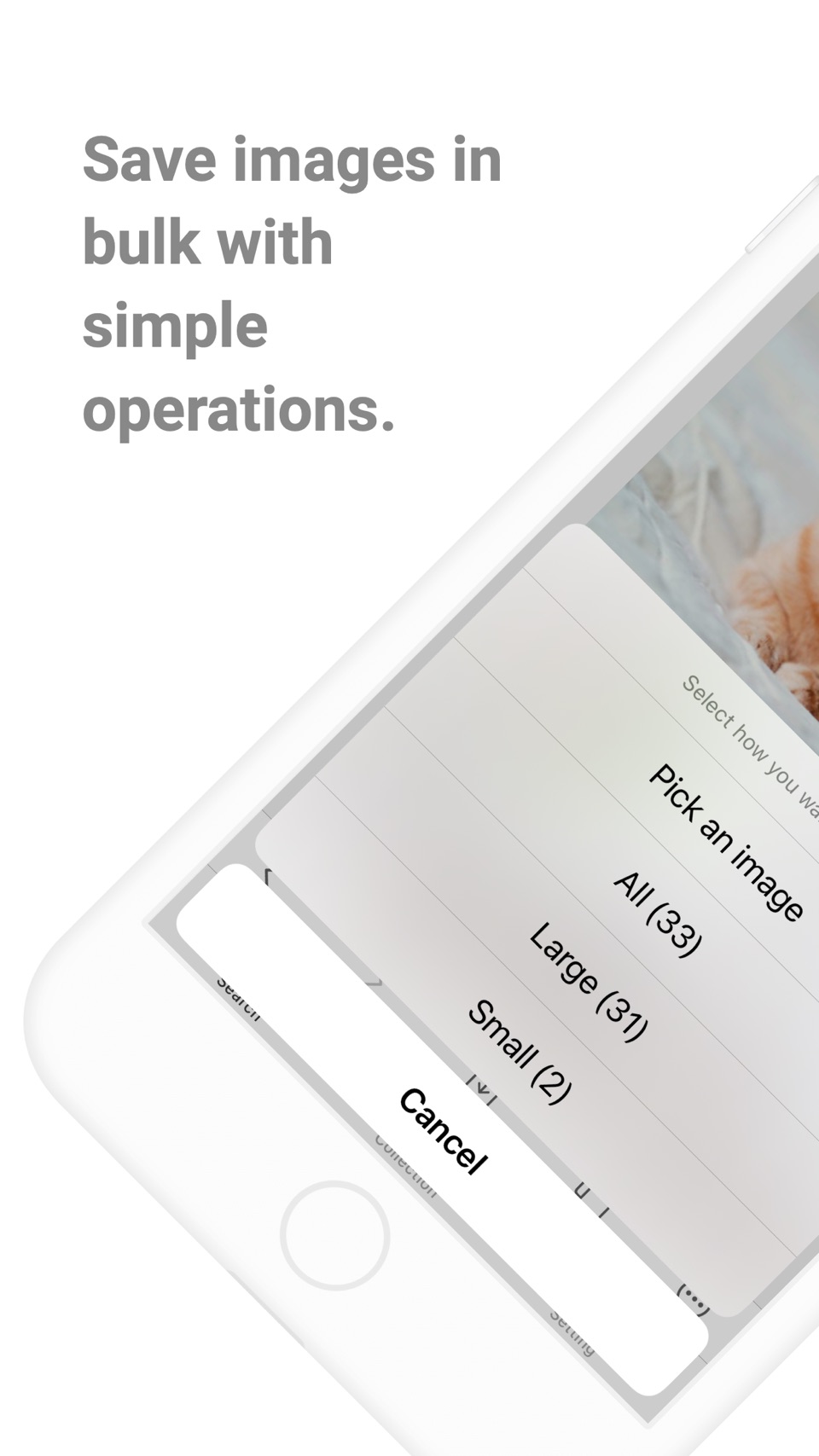 Picket - 网页图片批量下载 · Store screenshots