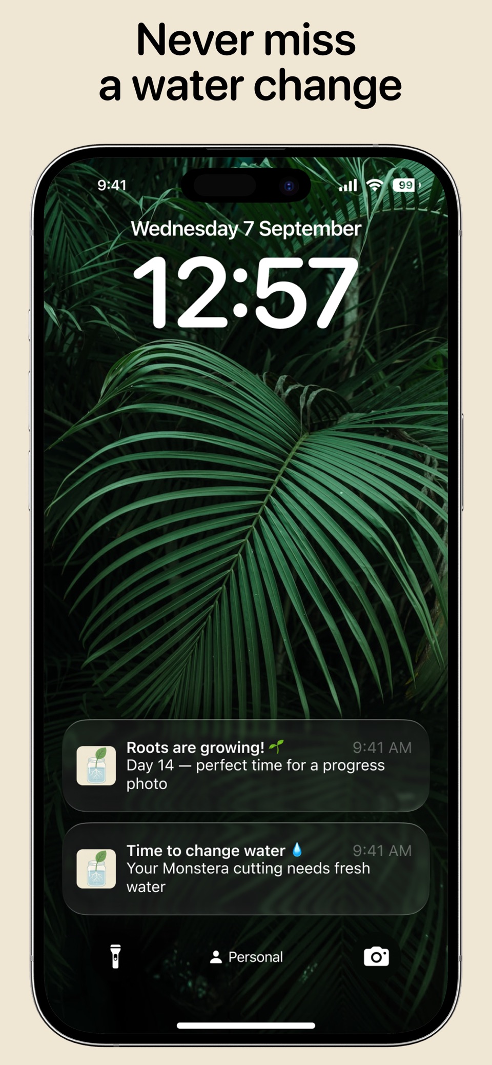 Propagation Journal 2
