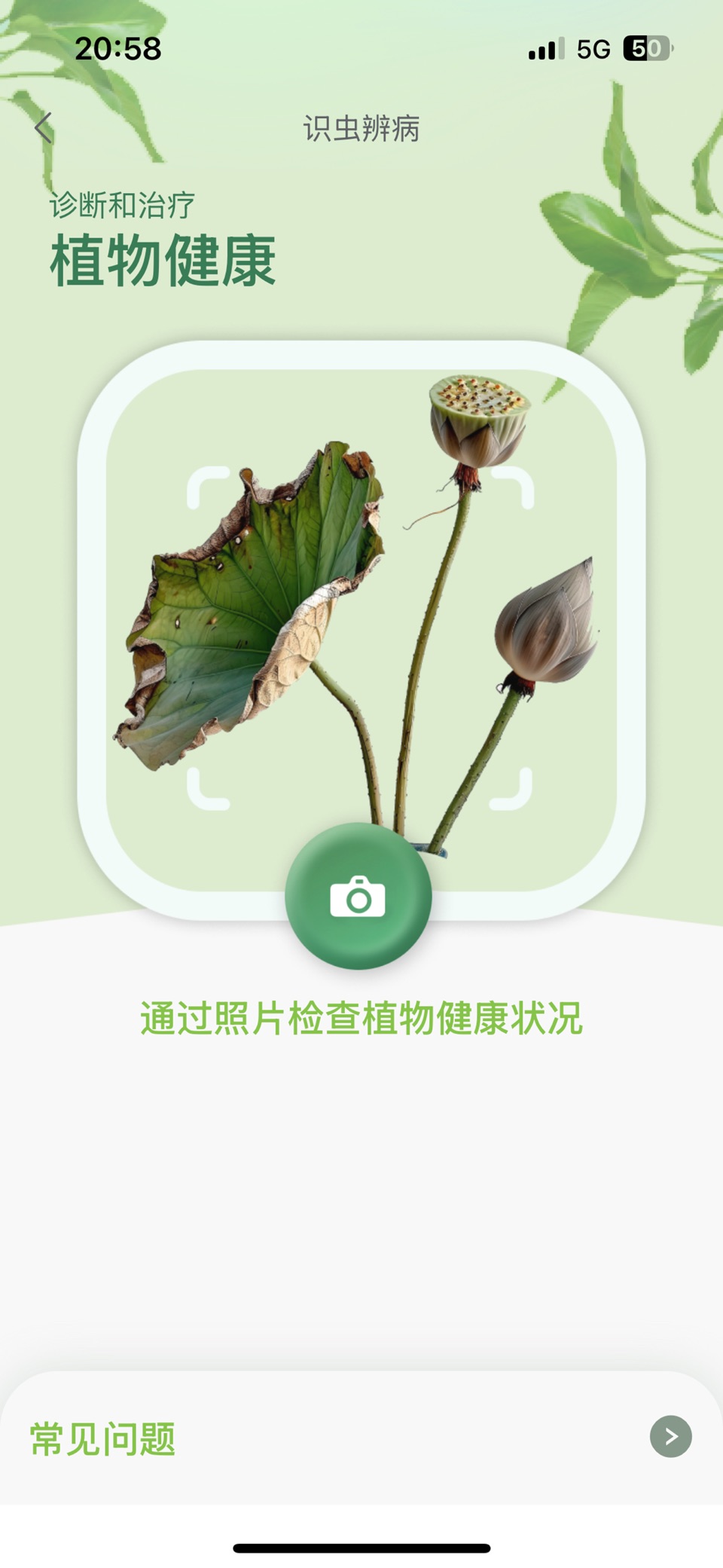 踏遍景观植物词典 2