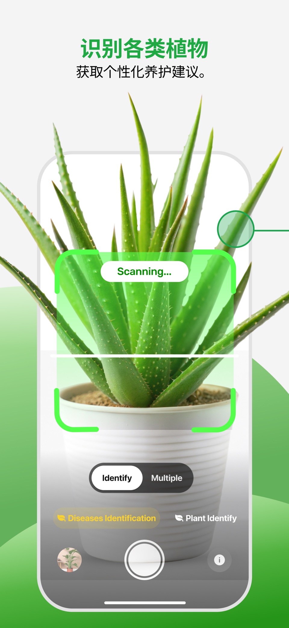 PlantApp：AI 拍照识花与植物识别 2