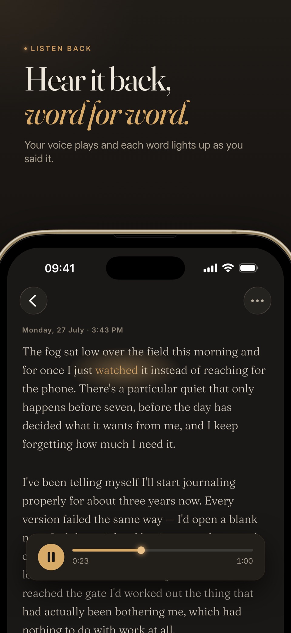Flyt - Voice Journal 3