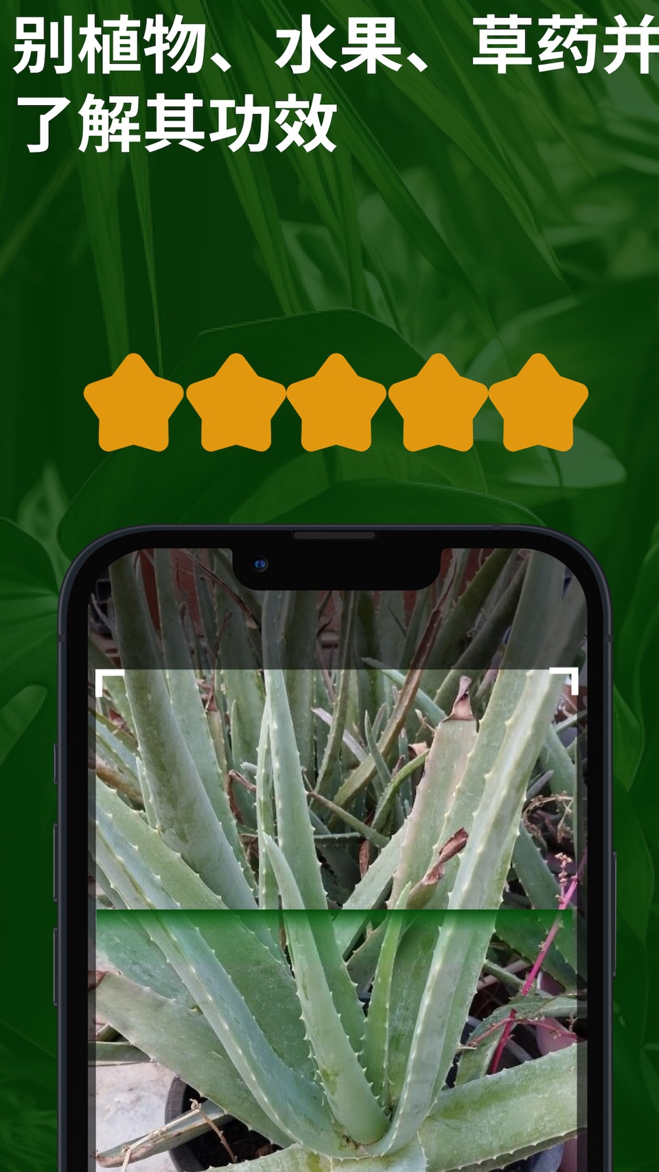 植物识别 药用:了解有关水果 养花 草本养护 爱花草 · Store screenshots