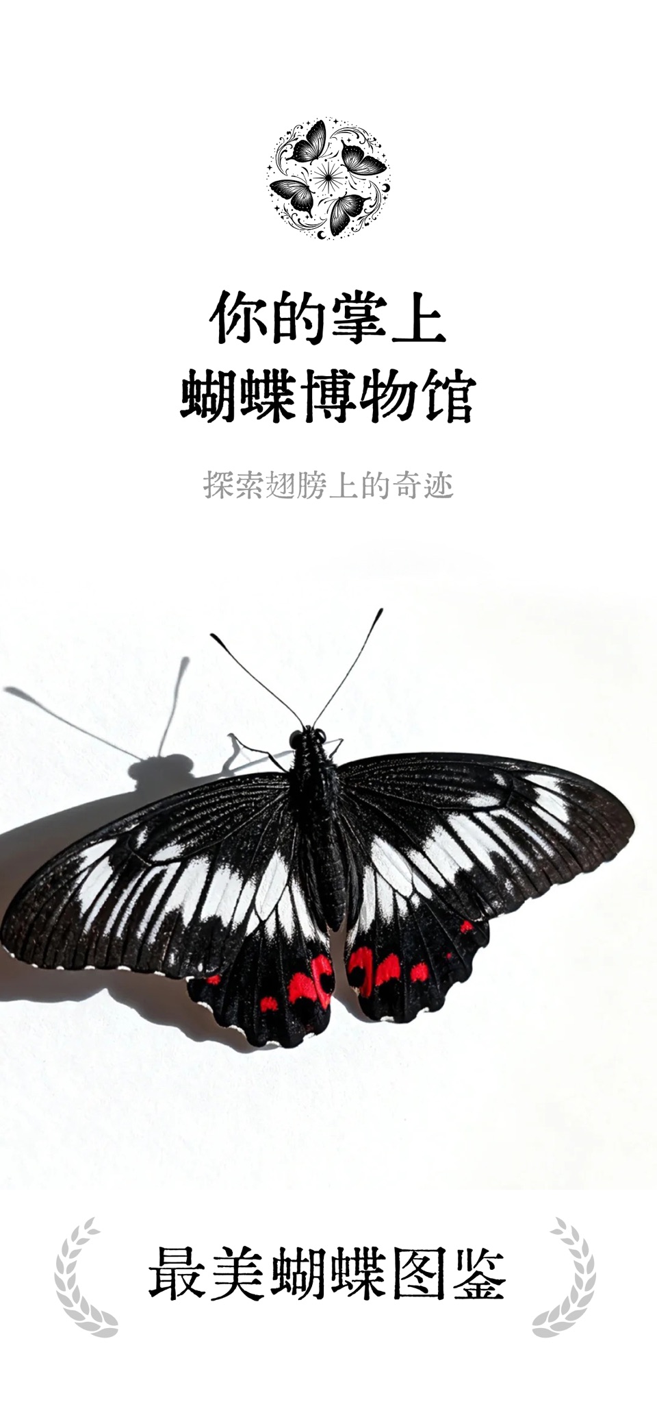 蝶藏 - 最美蝴蝶博物馆昆虫标本艺术审美唯美 · Store screenshots
