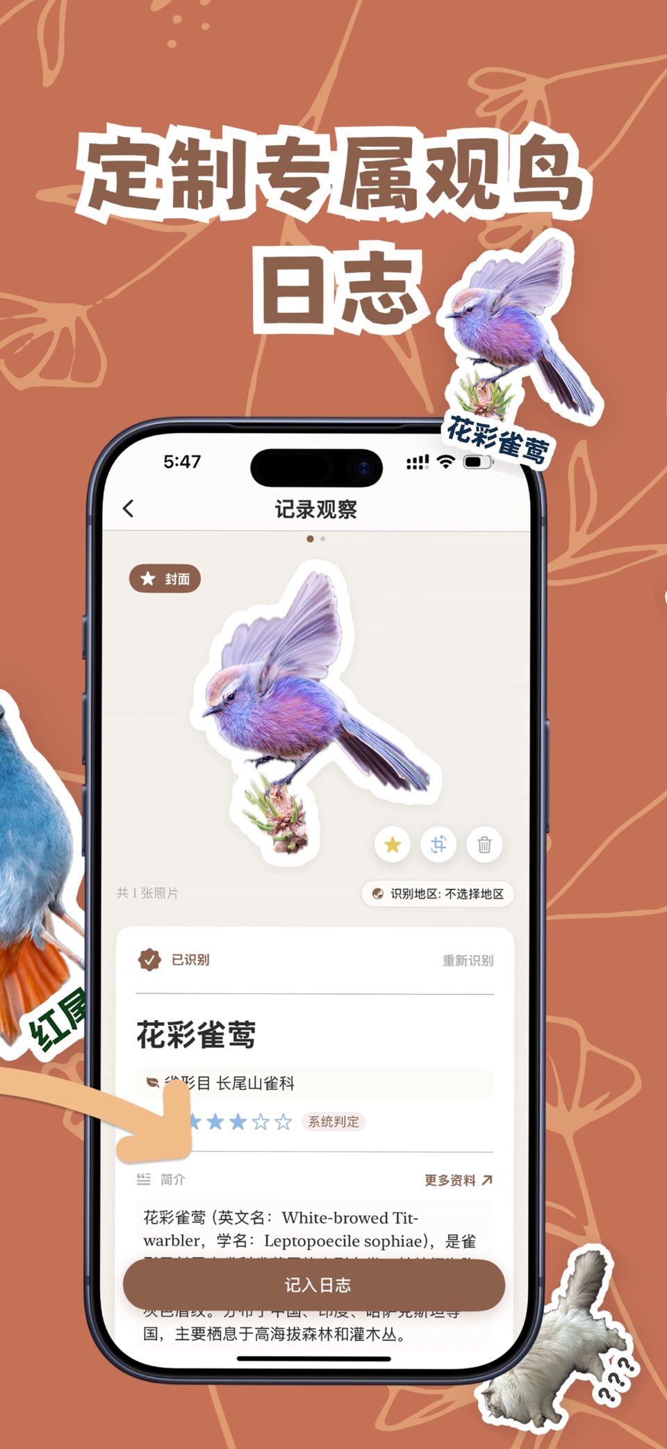 观鸟笔记 3