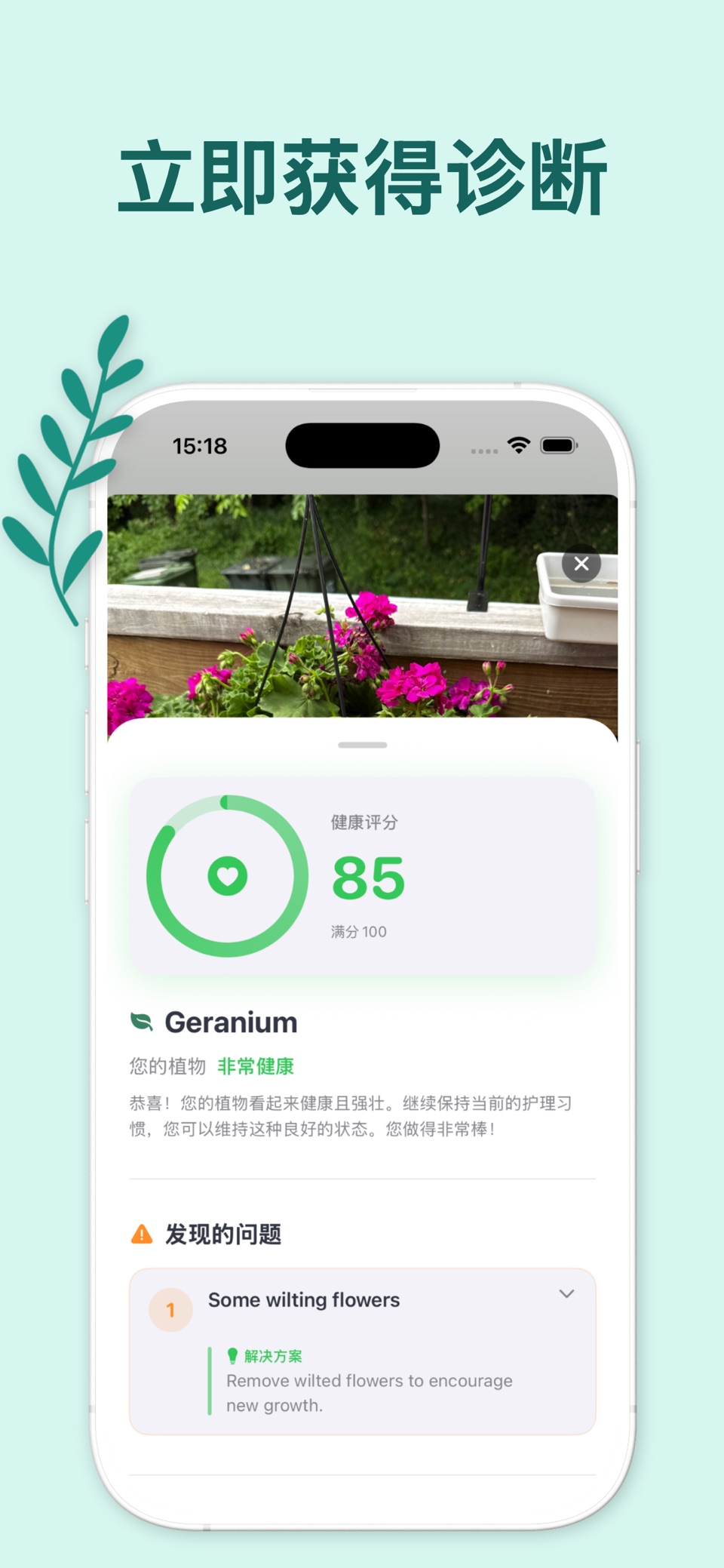 植物：护理和疾病 3