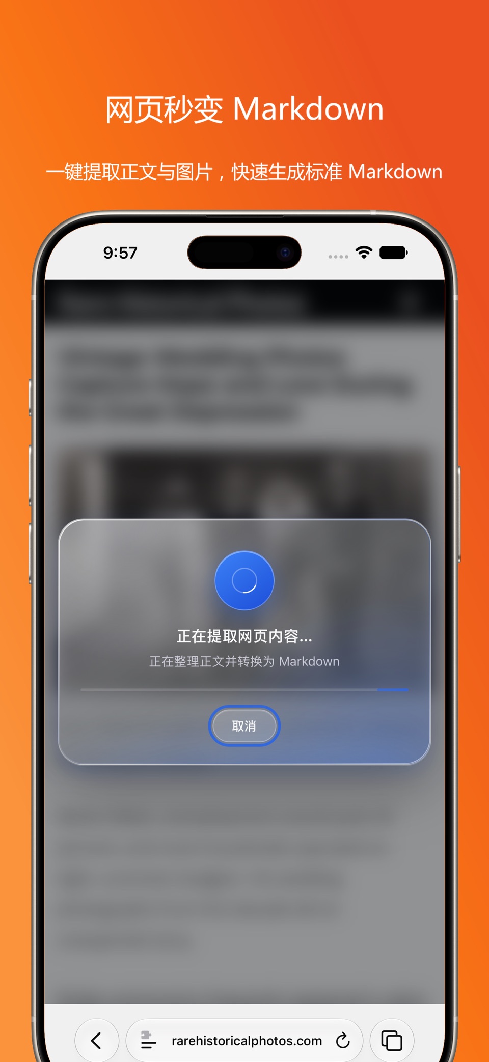 DownMark - 网页转 Markdown · Store screenshots