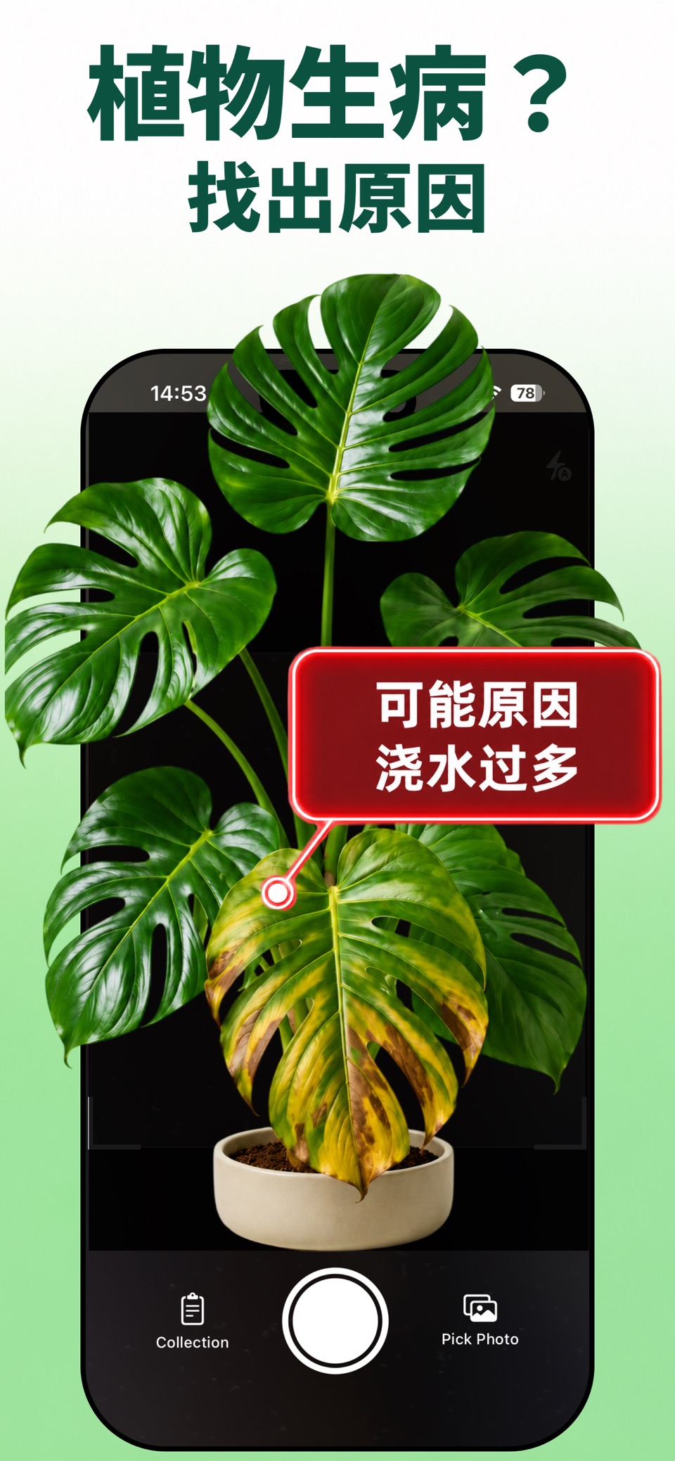 Florin 植物识别·拍照识花 · Store screenshots