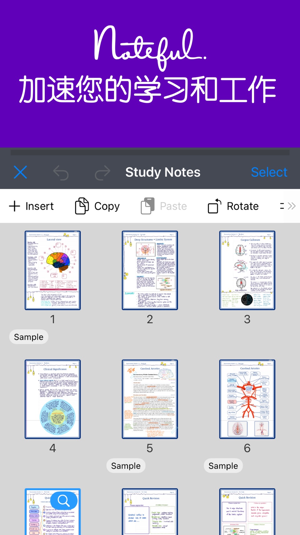 Noteful: 手写笔记与 PDF 标注 8