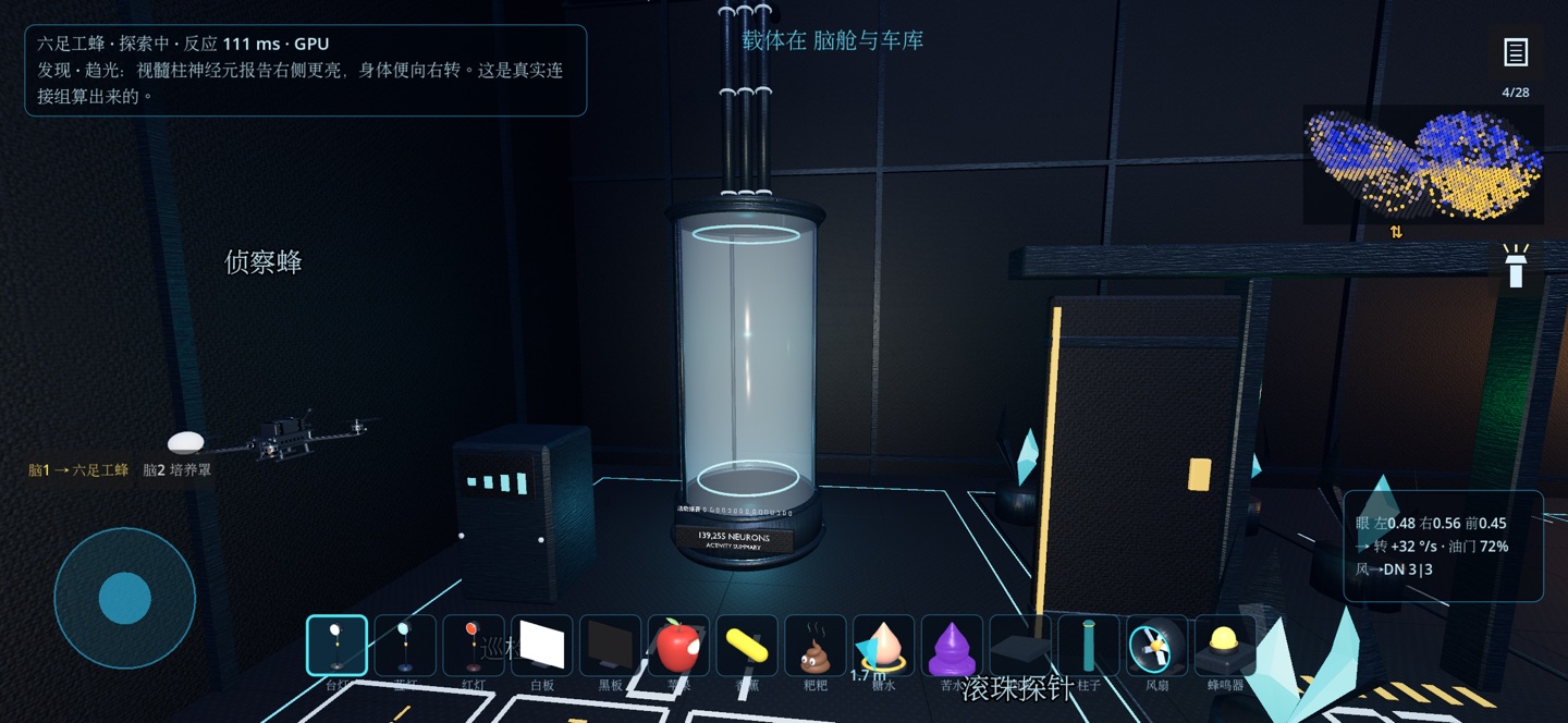 我的果蝇世界 1