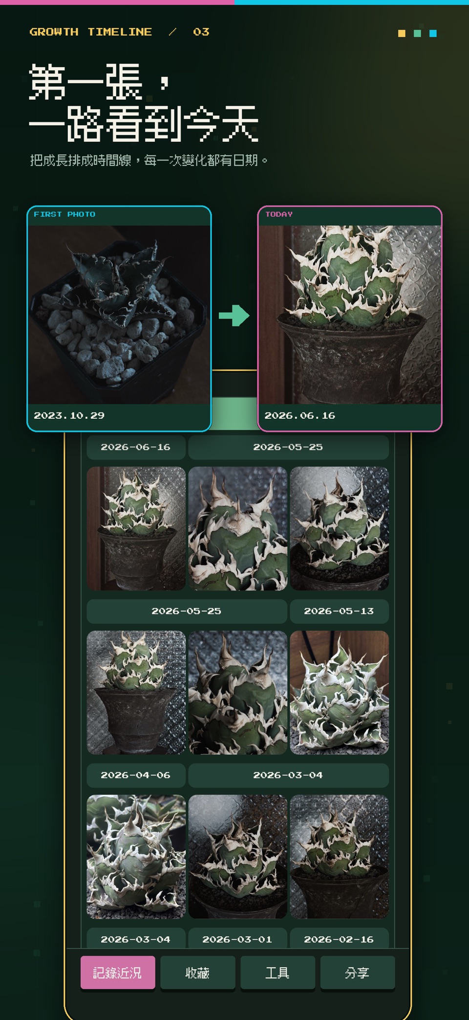 Agavedex 3