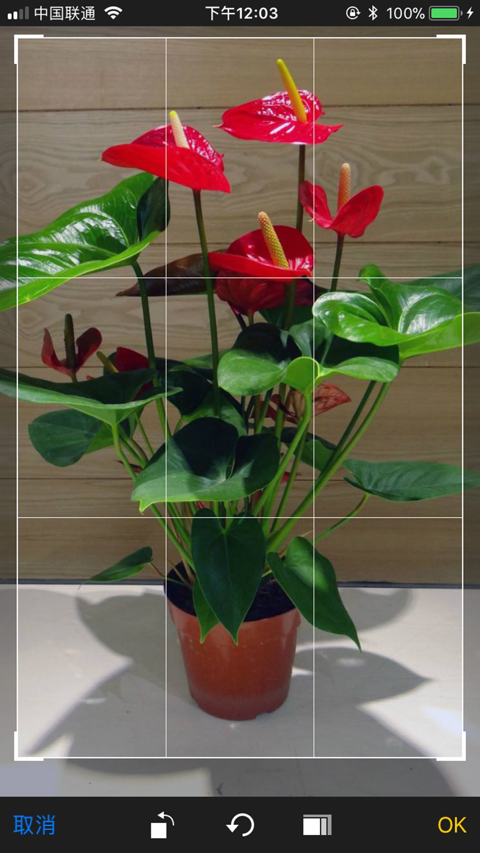 识花 - 拍照识别植物花卉 · Store screenshots