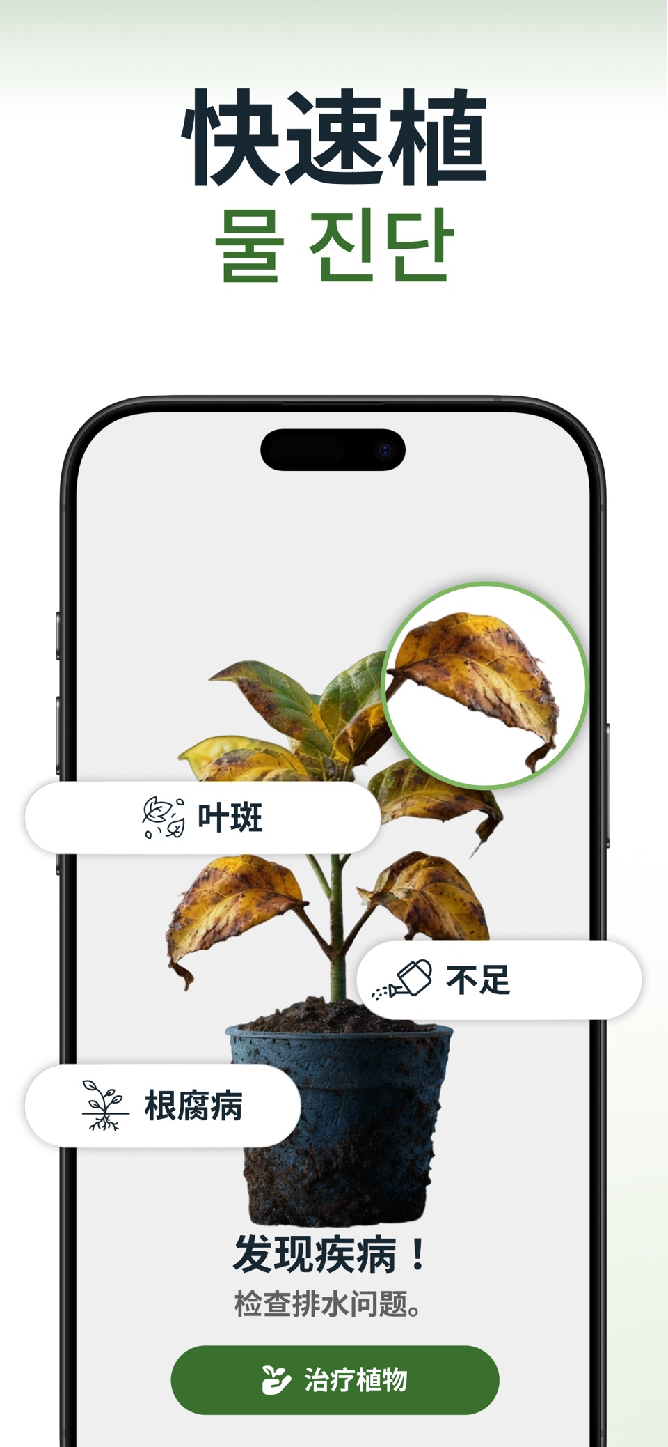 拍照识花AI植物识别 3