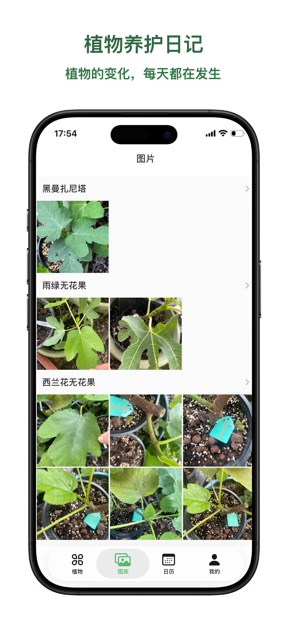 可可植记-植物养护日记 · Store screenshots