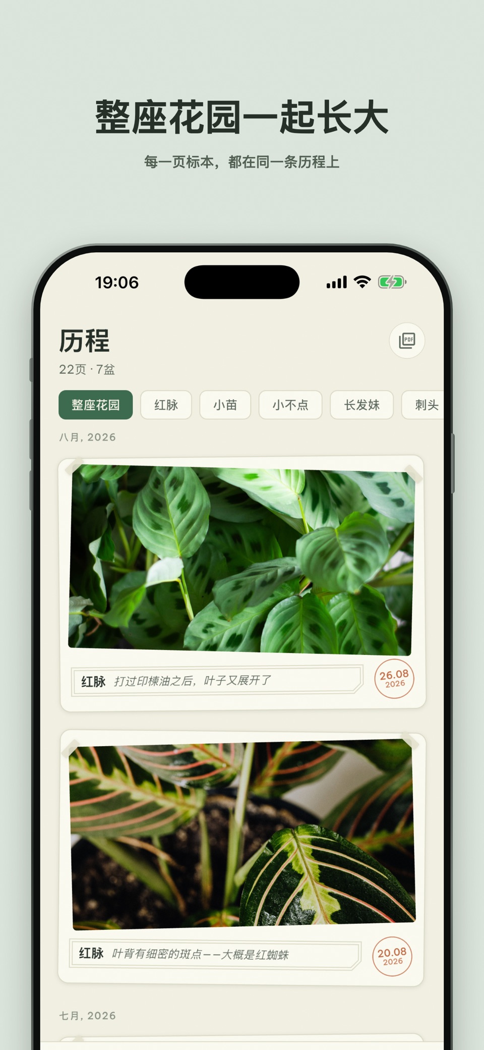 Plant Journal：植物日记 2
