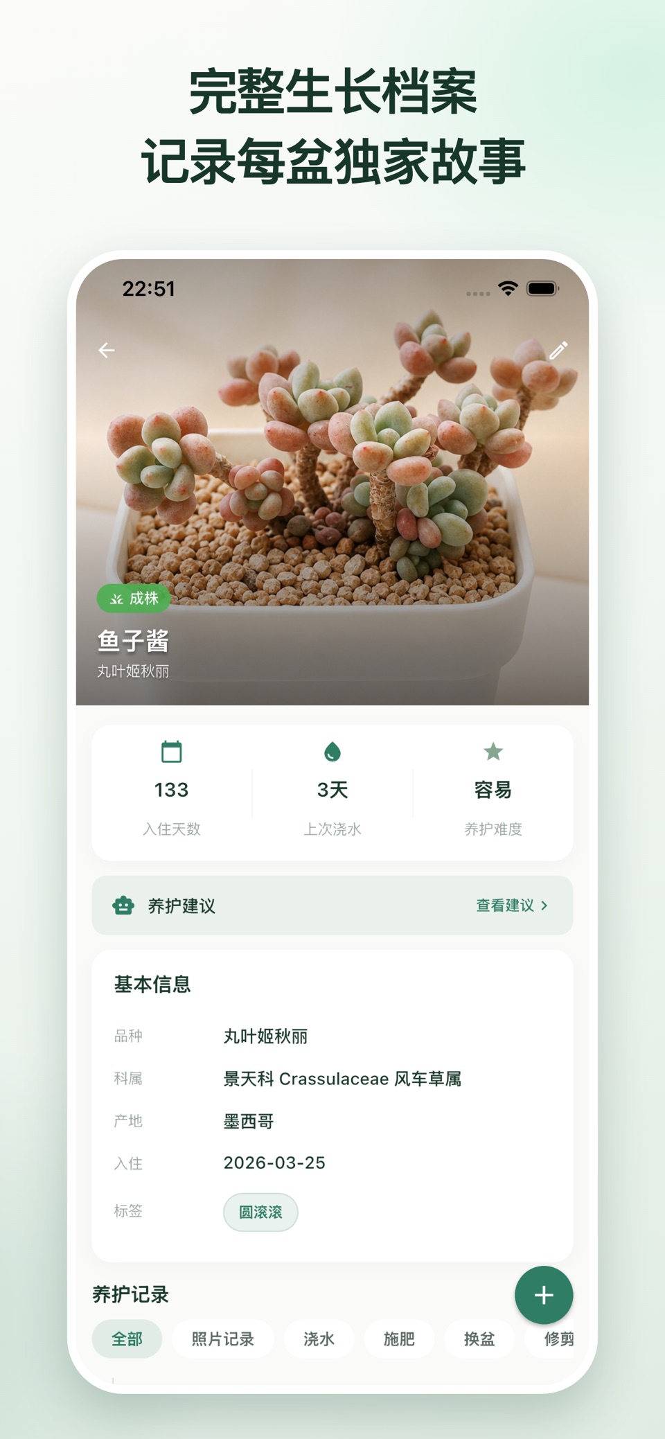 多肉帮帮 3