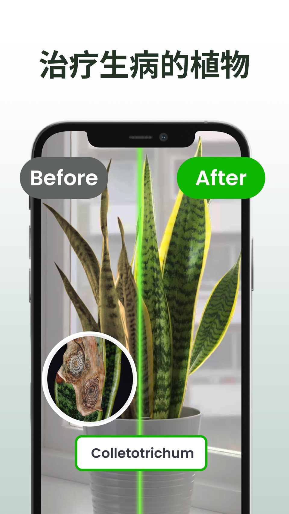 植物识别: Plantiary 3