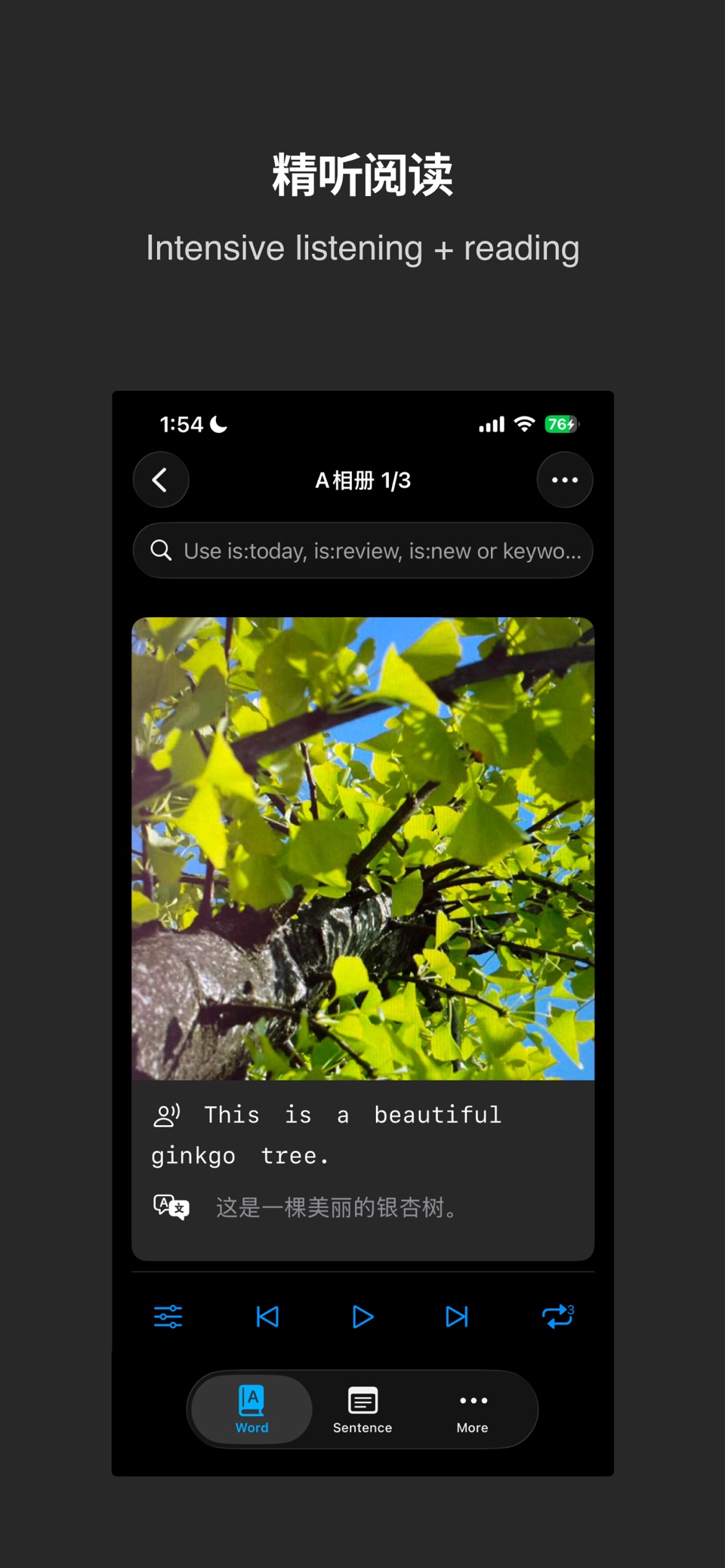 ListenCards 闪卡 2