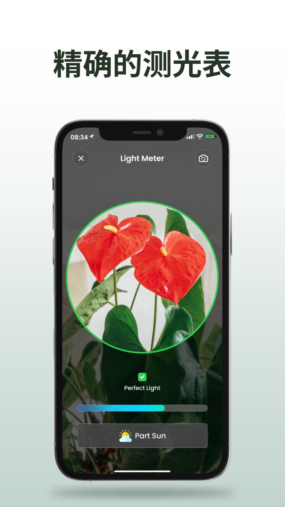 植物识别: Plantiary 5