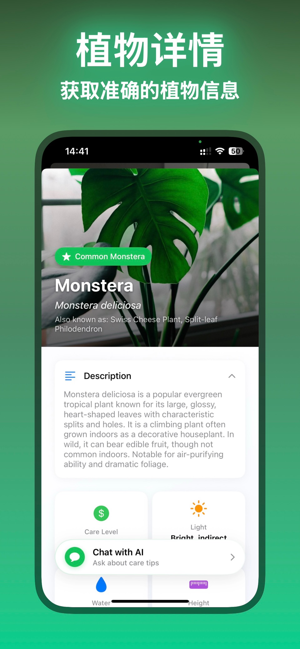 Leafify: 植物识别 2