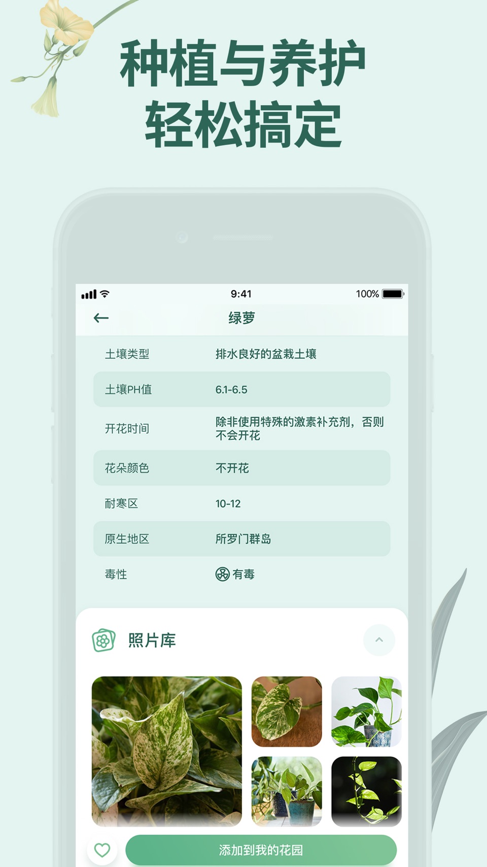 花草录-识别植物种类。 Blossom 出品 2