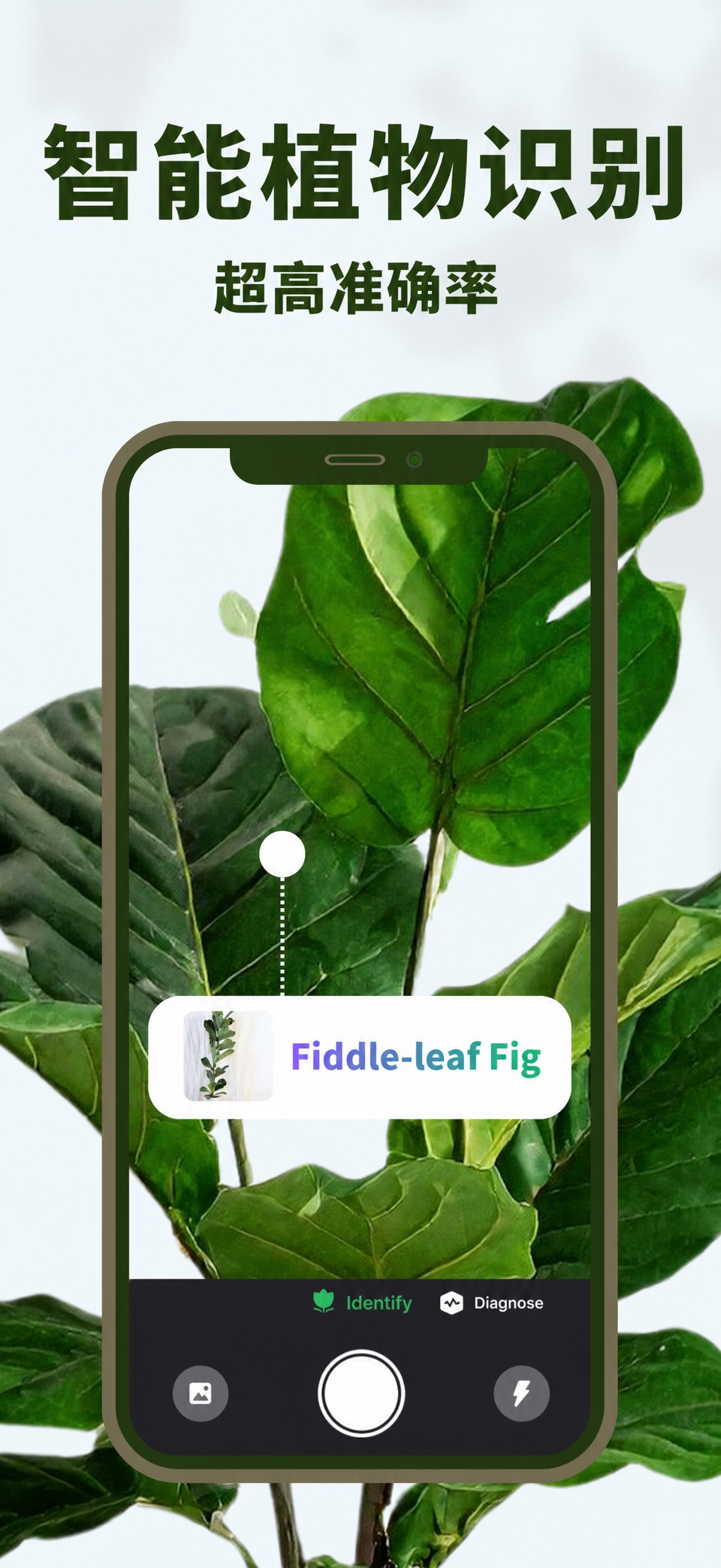 PlantFun: 植物识别与拍照识花 · Store screenshots