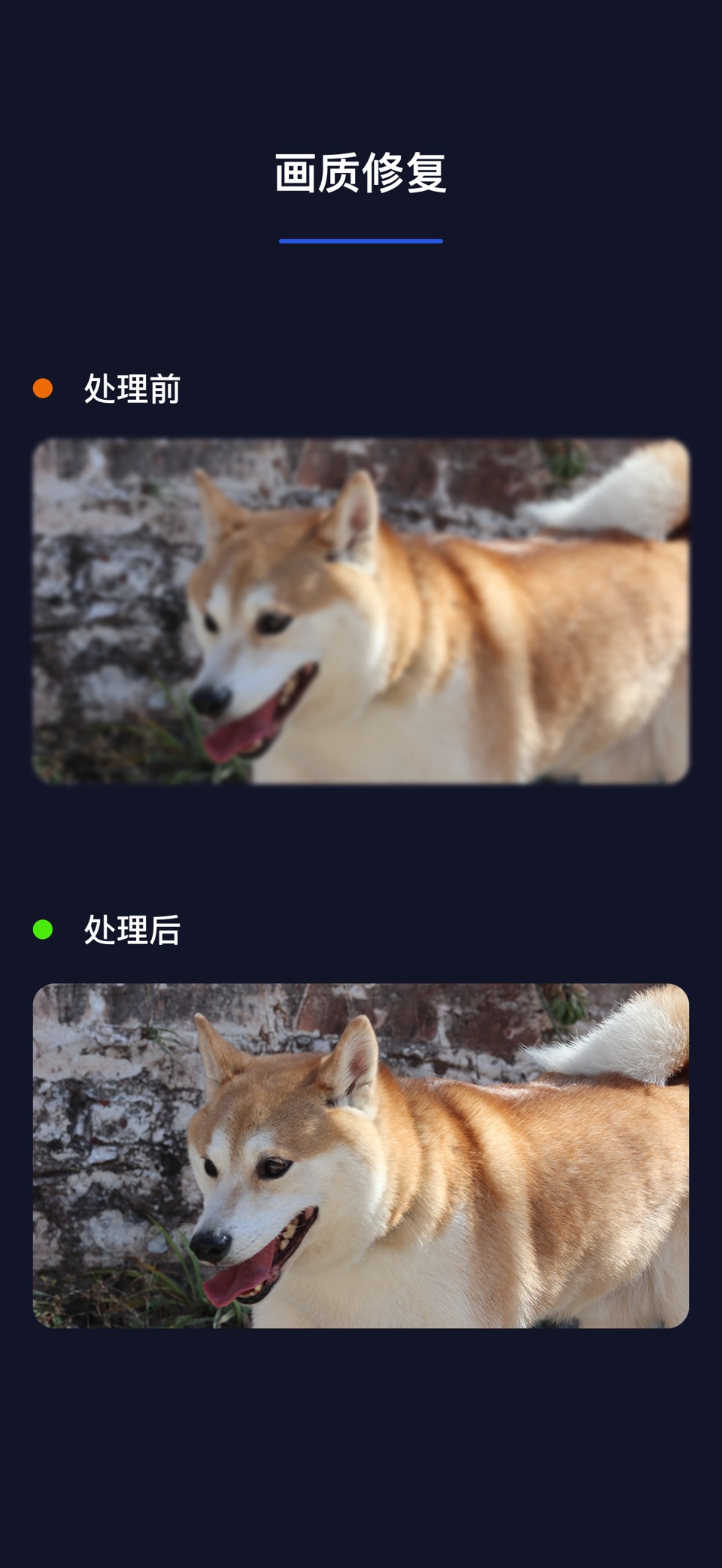 马力去字幕 3
