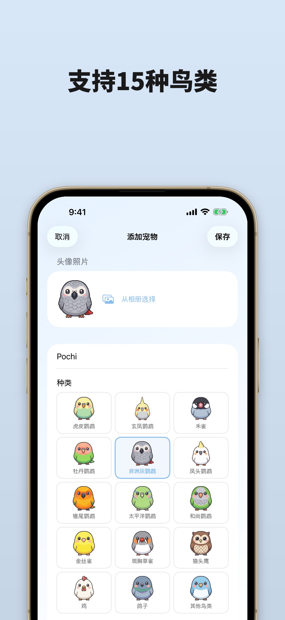 小鸟护理 - 宠物照片日记 2
