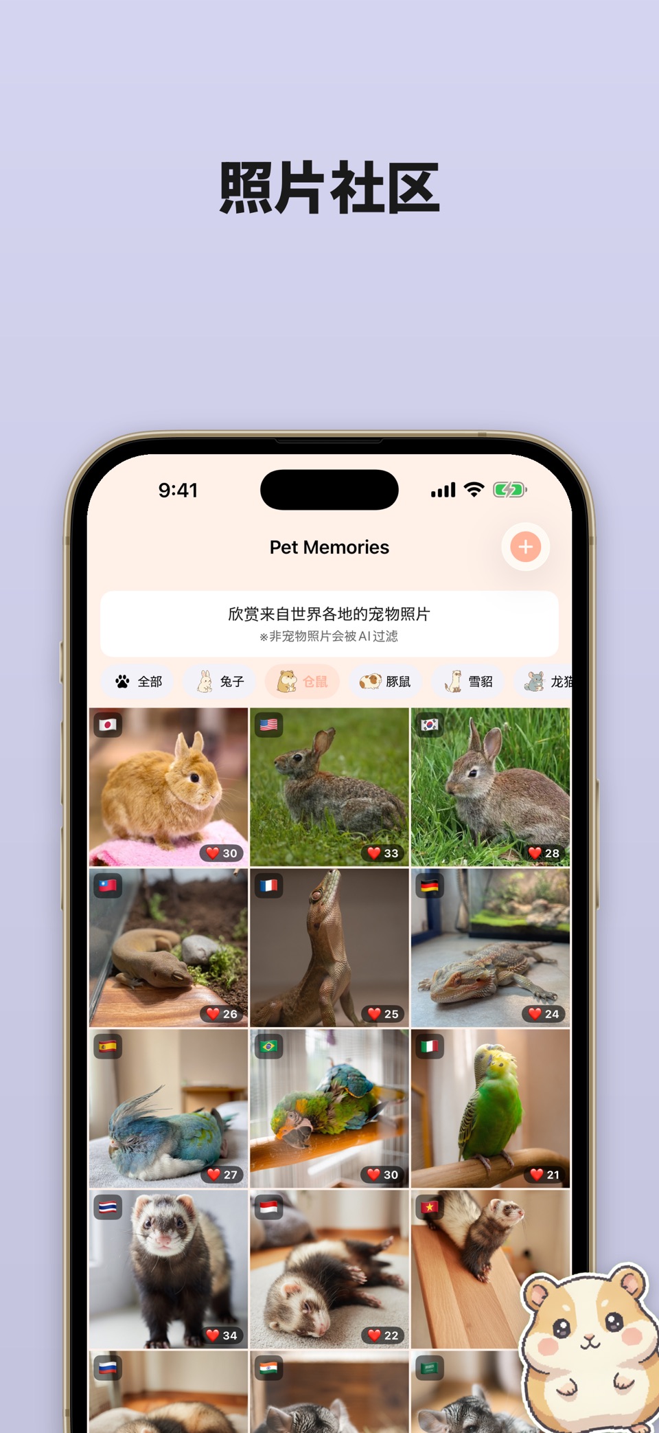 仓鼠护理 - 宠物照片日记 2