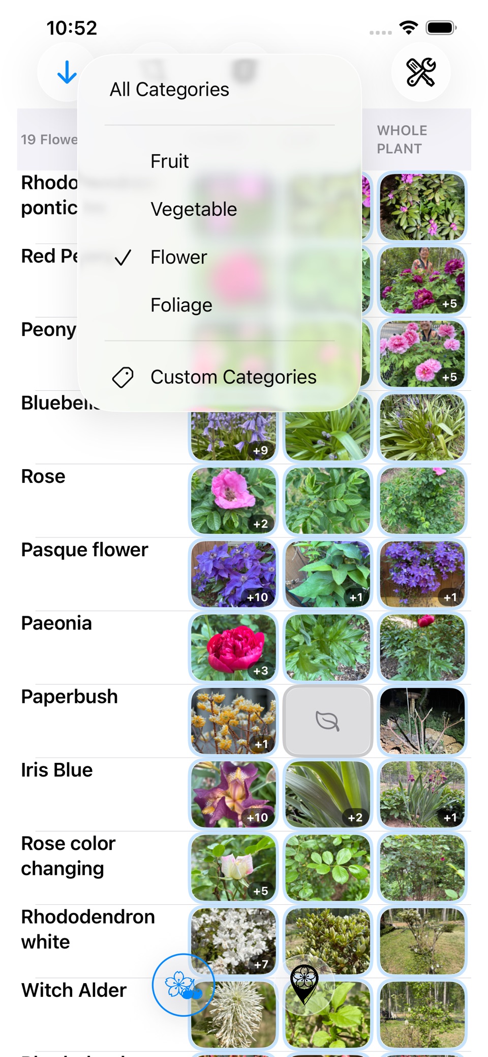 Plants In My Garden 2
