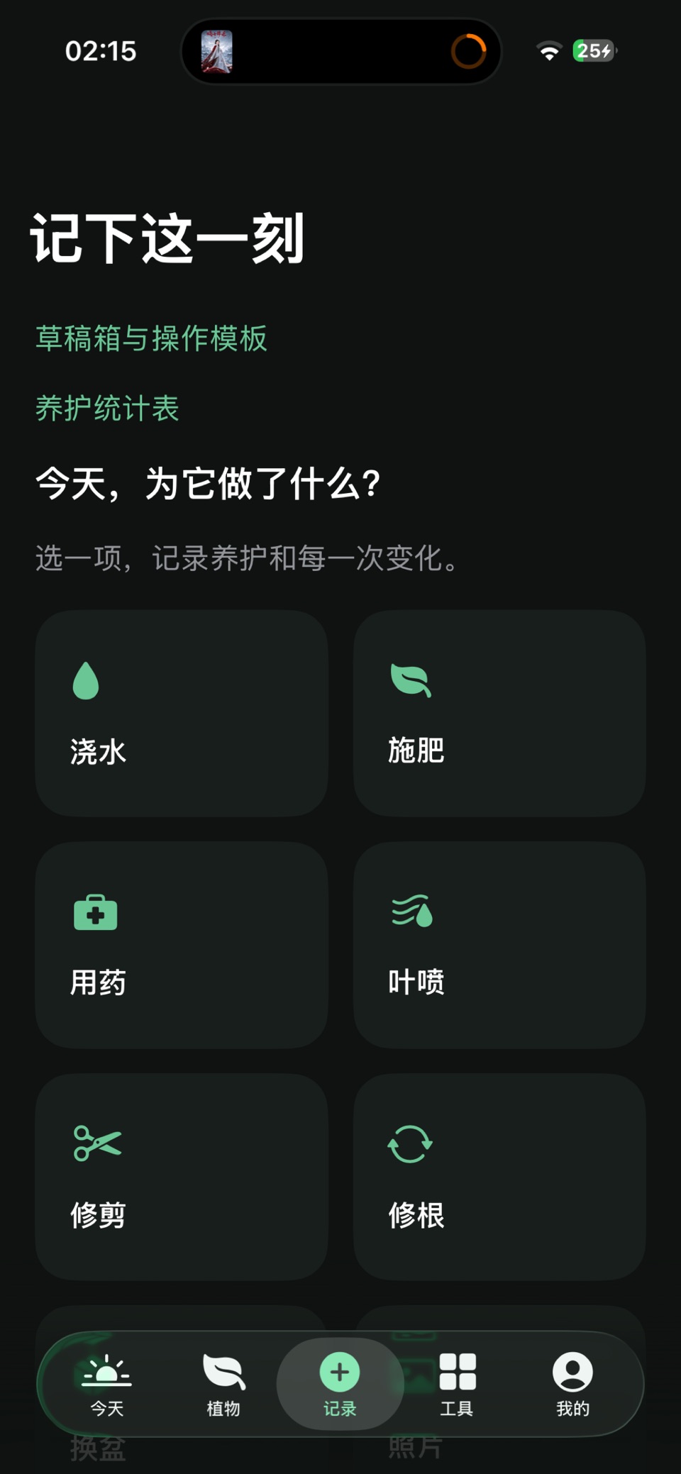 植档 3