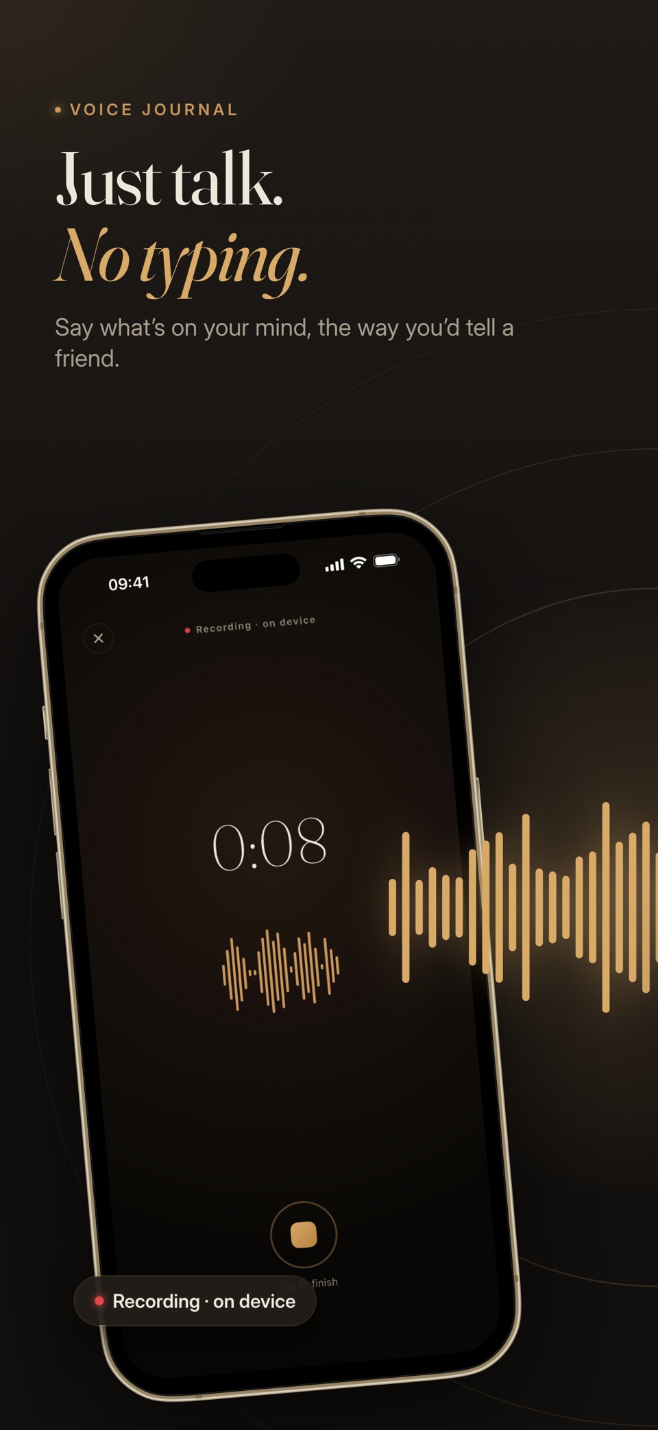 Flyt - Voice Journal · Store screenshots