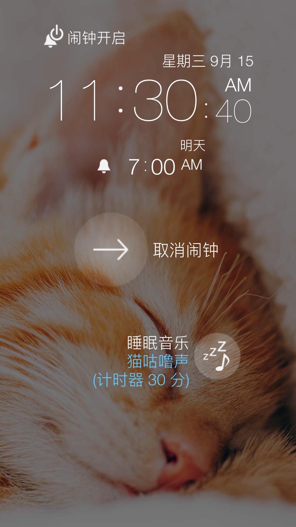 猫咪闹钟 :3 2