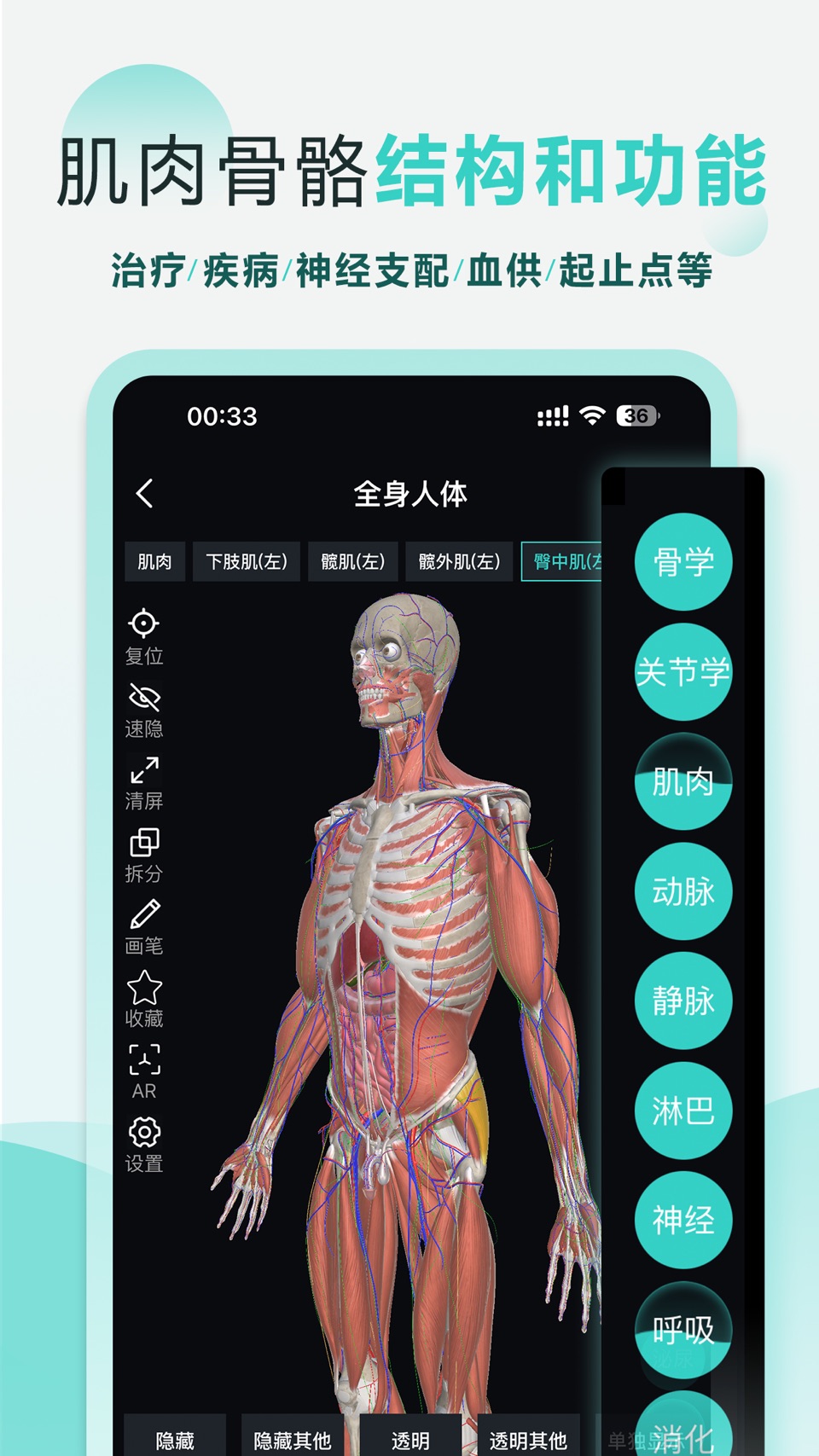 掌上3D解剖-学解剖·中医·刷题·听名师课程 3