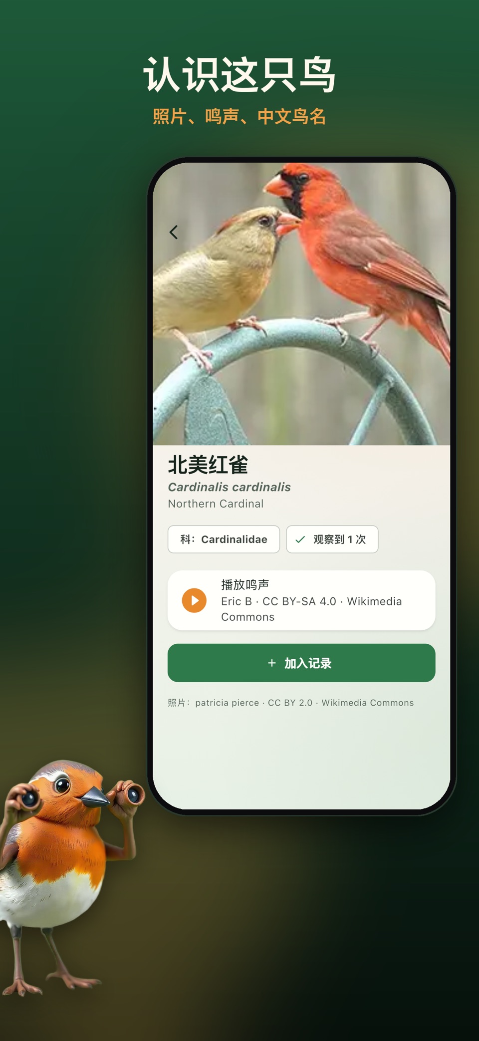 鸟类识别·观鸟 3